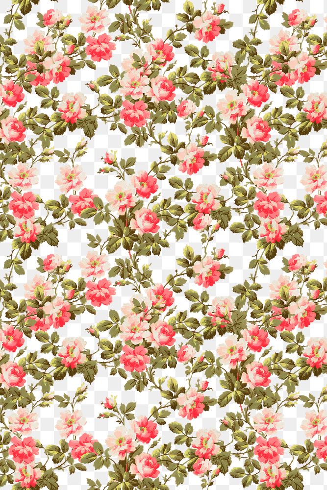 Png wild rose botanical pattern transparent background