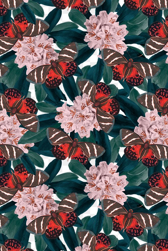 Abstract butterfly png floral pattern, vintage remix from The Naturalist's Miscellany by George Shaw