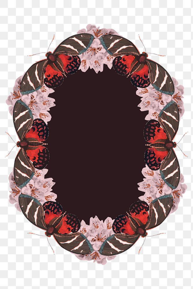 Vintage butterfly pattern png frame, remix from The Naturalist's Miscellany by George Shaw