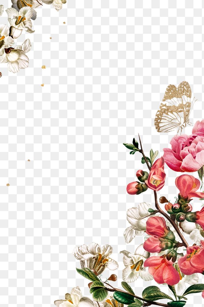 Elegant valentine's flowers border png watercolor illustration