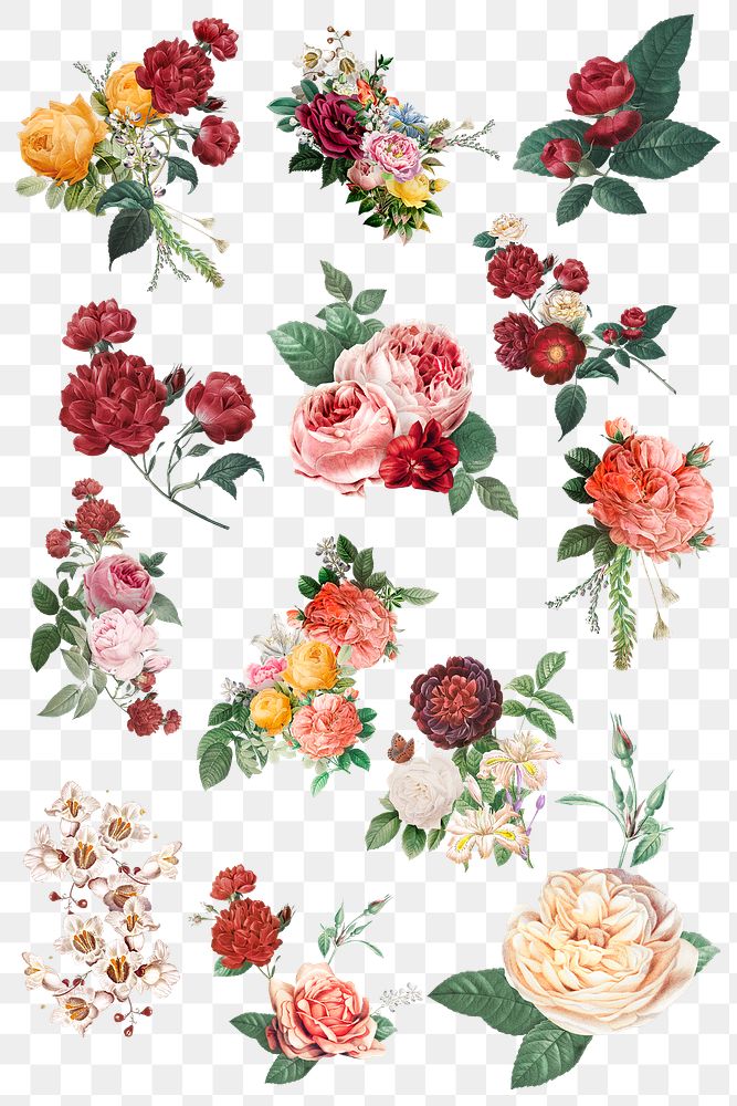 Colorful flowers png watercolor illustration collection