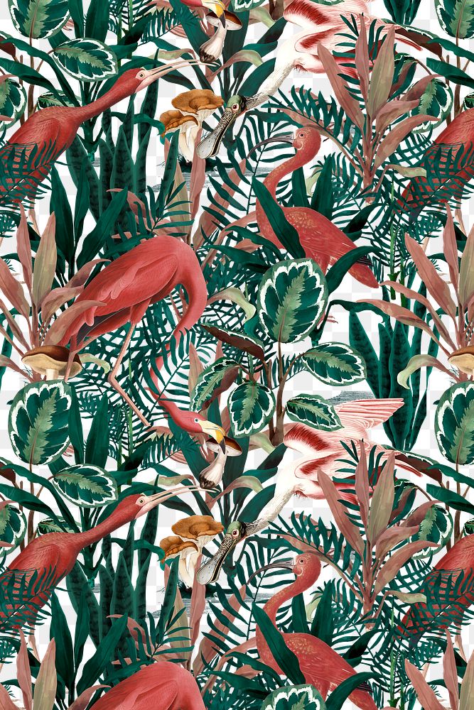 Flamingo pattern background png jungle illustration