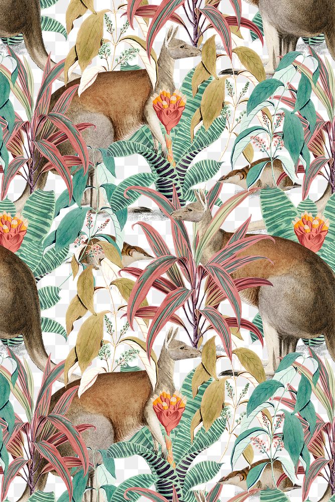Jungle kangaroo png pattern background vintage animal illustration