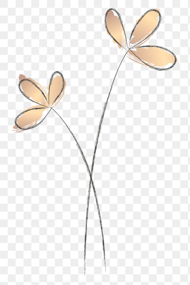 Png flower line art doodle with gold 