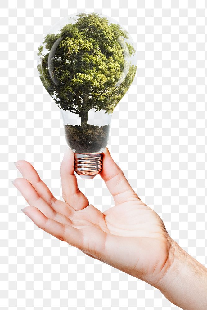 Png tree light bulb for sustainable energy campaign