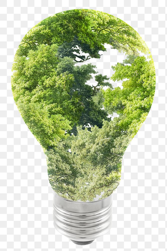 Png energy saving light bulb green trees
