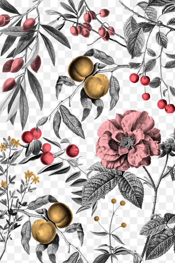 Png pattern rose and fruits vintage pink botanical illustration