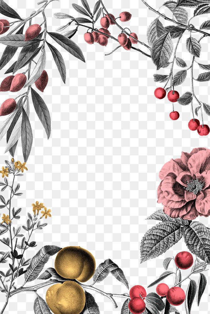 Frame png rose floral and fruits pink elegant illustration