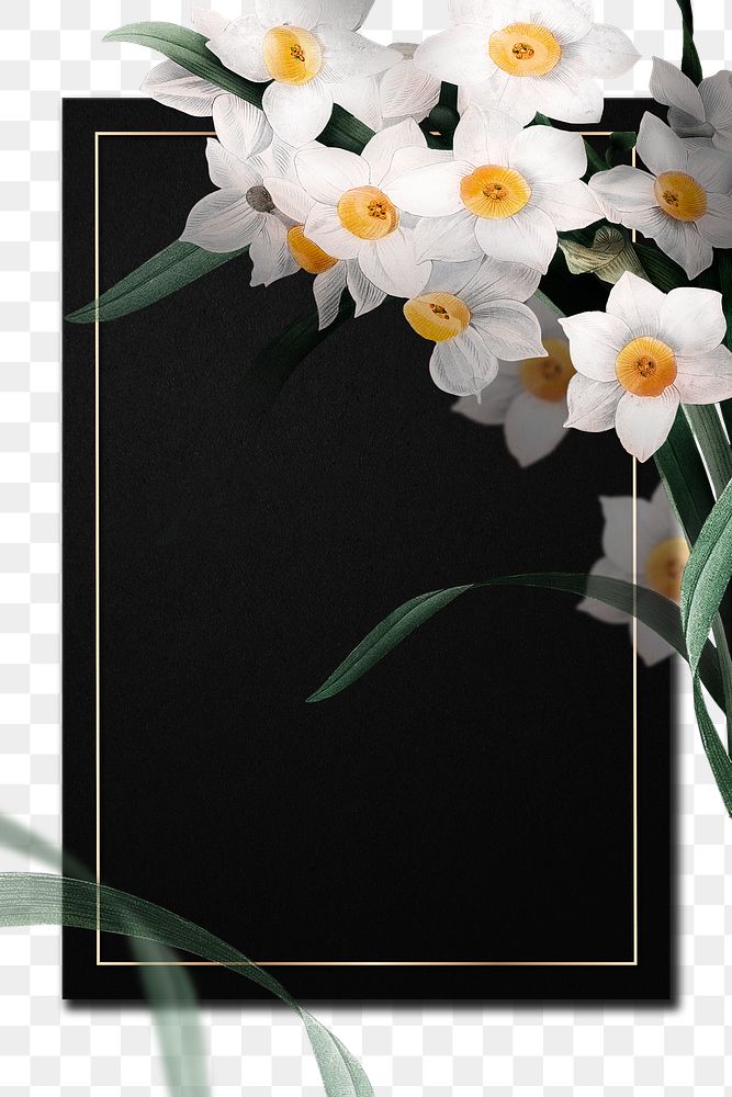 Png Easter frame with daffodil border transparent background