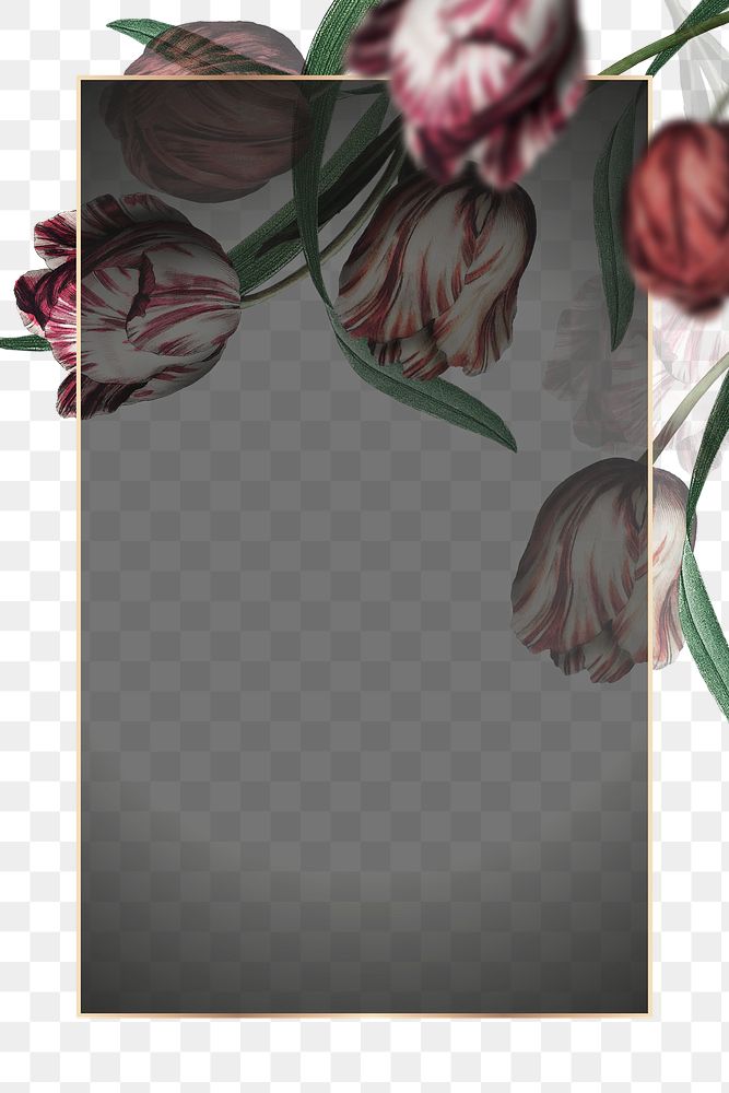 Png gold frame with tulip border transparent background