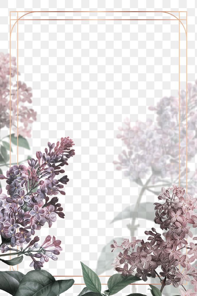 Png wedding frame with lilac border transparent background