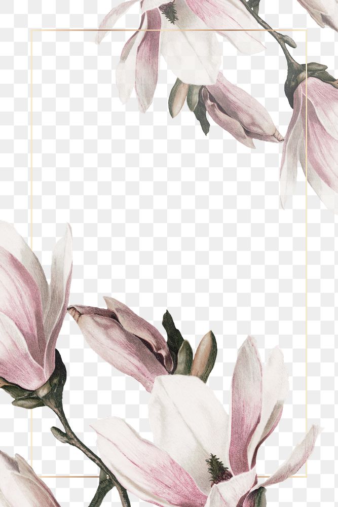 Png gold frame magnolia border | Premium PNG - rawpixel