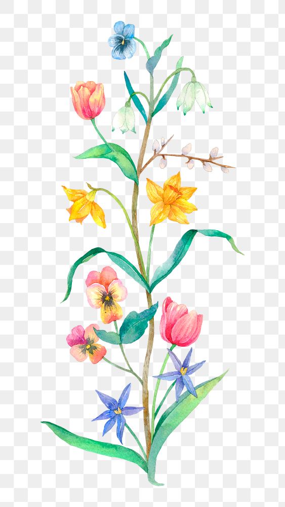 Png Easter spring flowers design element watercolor illustration