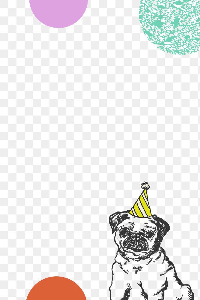 Pug png border frame cute dog in birthday cone hat