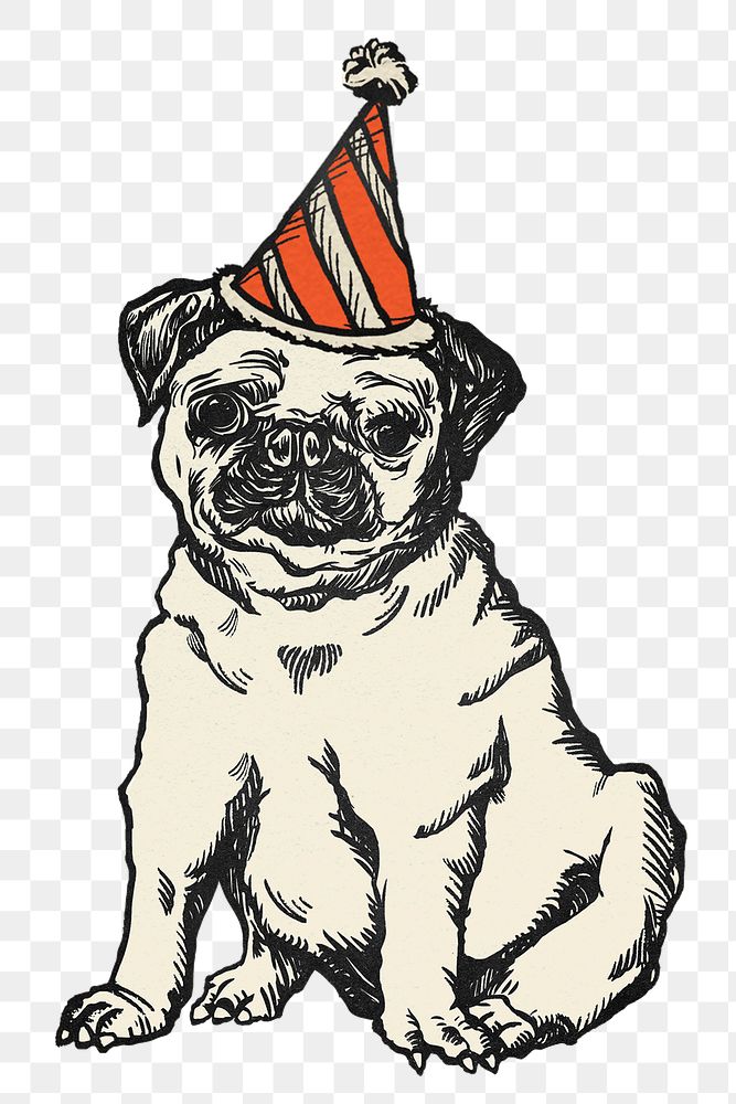 Birthday png dog sticker pug with cute party hat