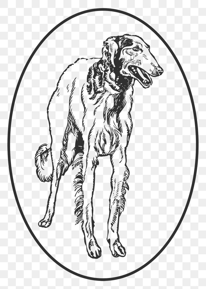 Greyhound png dog sticker, remixed from artworks by Moriz Jung