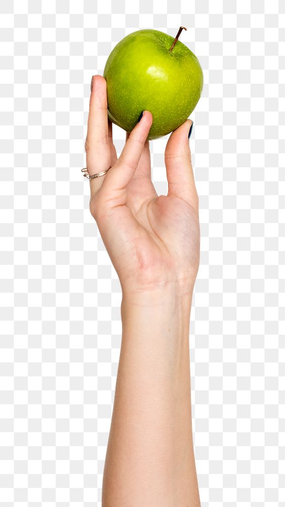 Apple png in hand sticker on transparent background