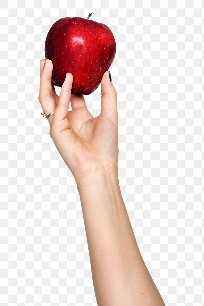 Apple png in hand sticker on transparent background