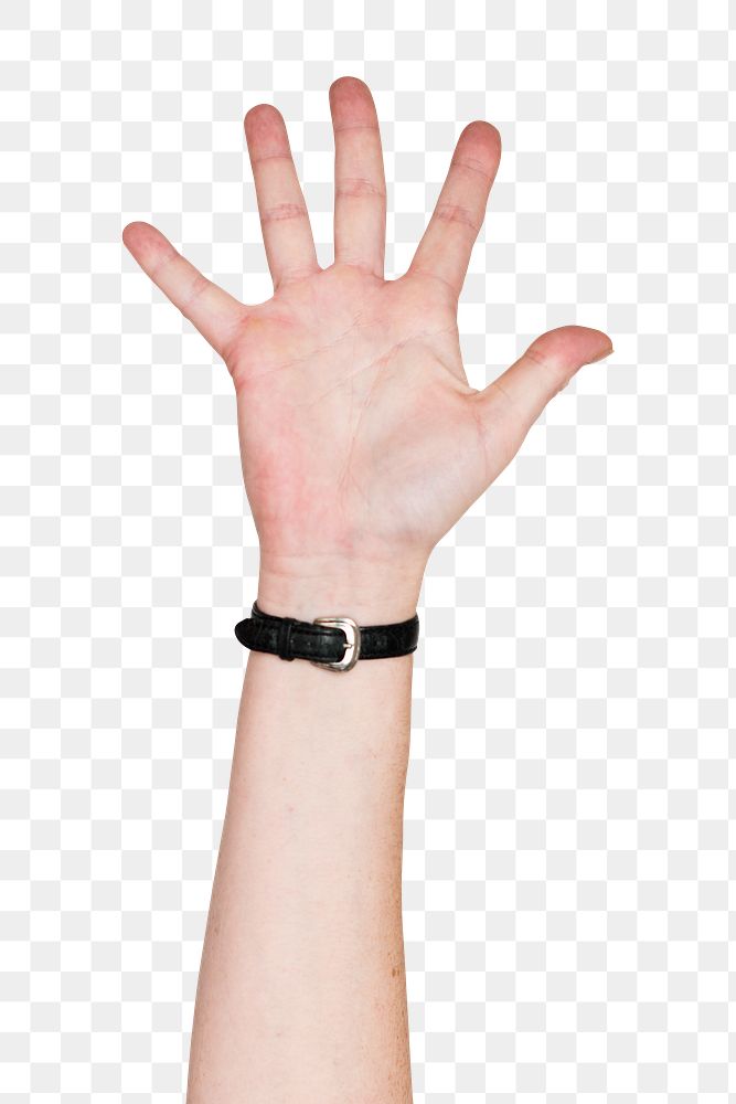 Png five fingers up hand gesture sticker, sign language on transparent background