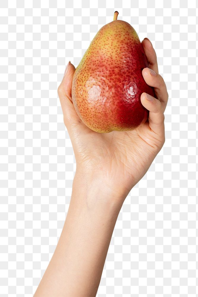 Hand showing a fresh red blush pear transparent png