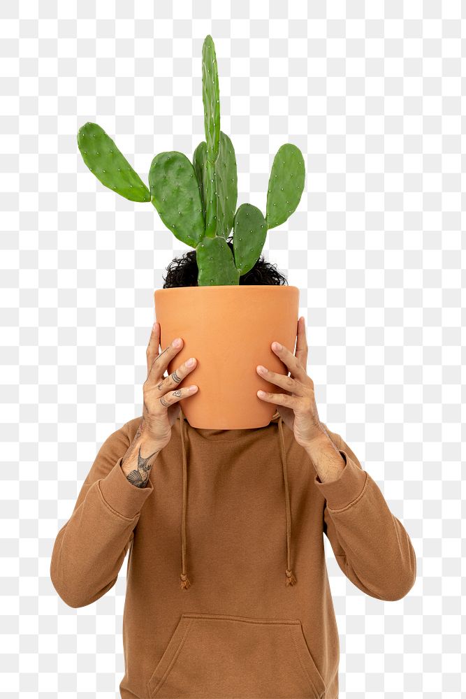 Png plant parent mockup holding potted bunny ear cactus