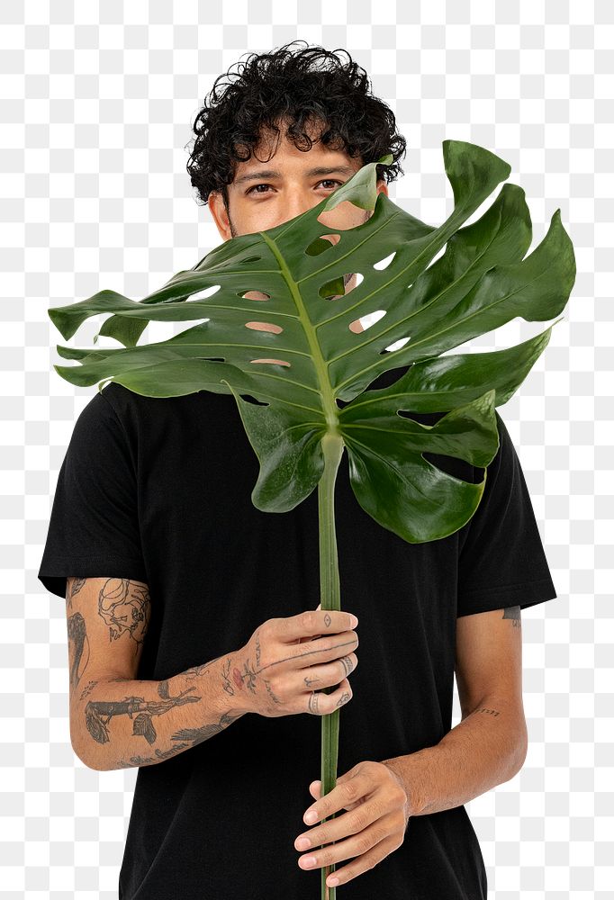 Png plant lover mockup holding monstera leaf