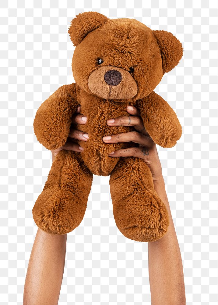 Png Teddy bear toy mockup held by a hand for kids