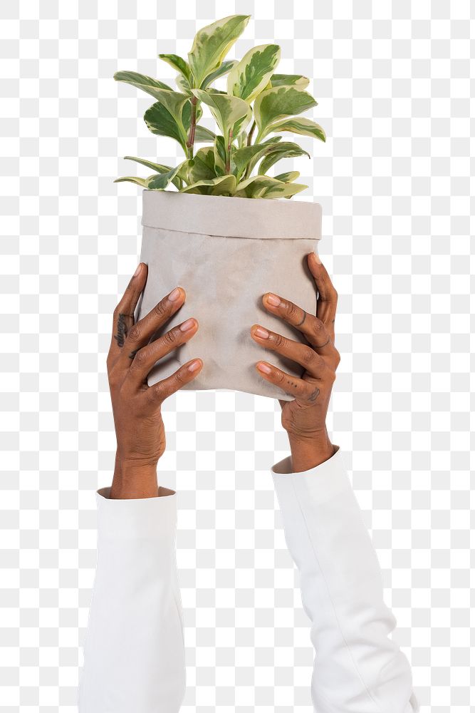 Png Hand holding plant mockup save the environment campaign