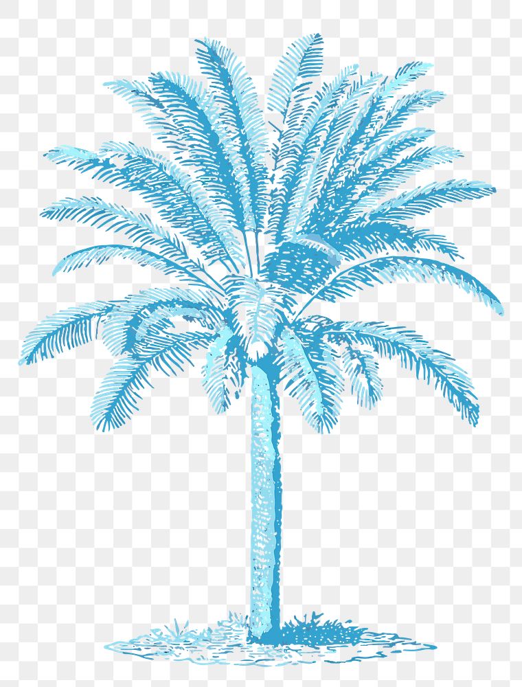 Palm tree png sticker classic illustration