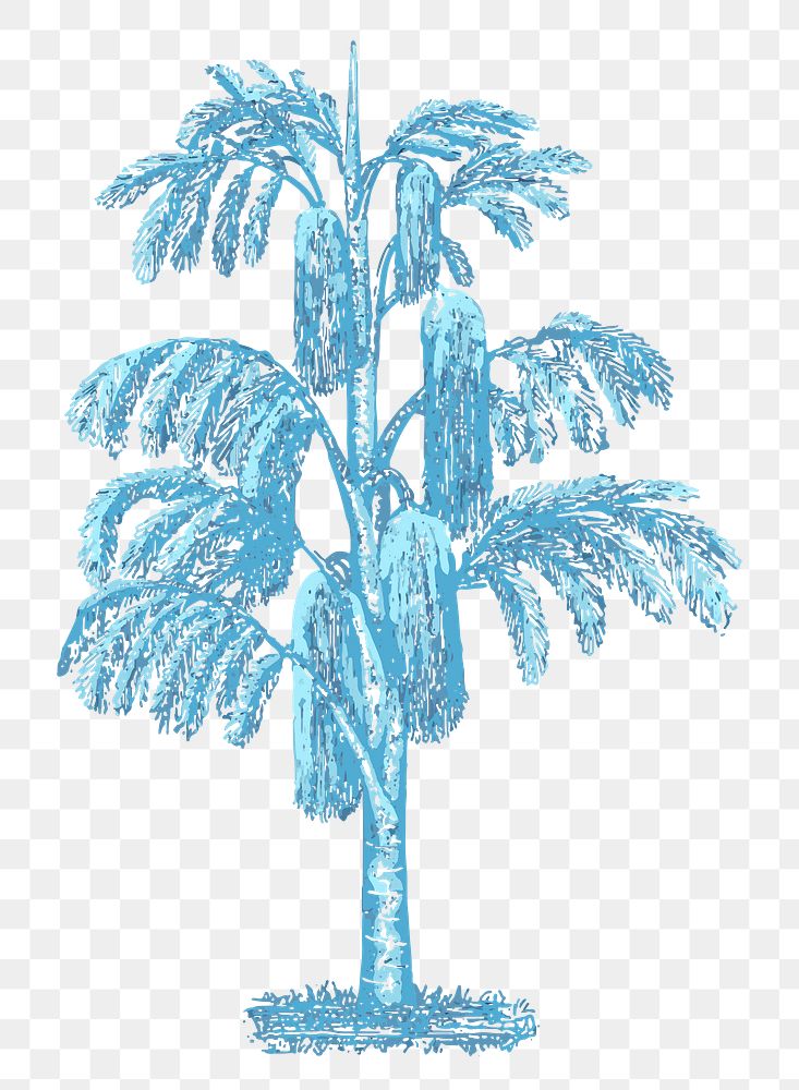 Palm tree png sticker classic illustration