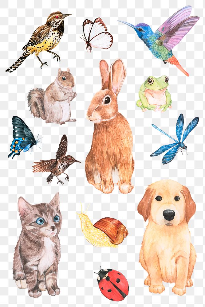 Animals element in watercolor png sticker collection