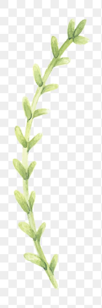 String of bananas succulent png