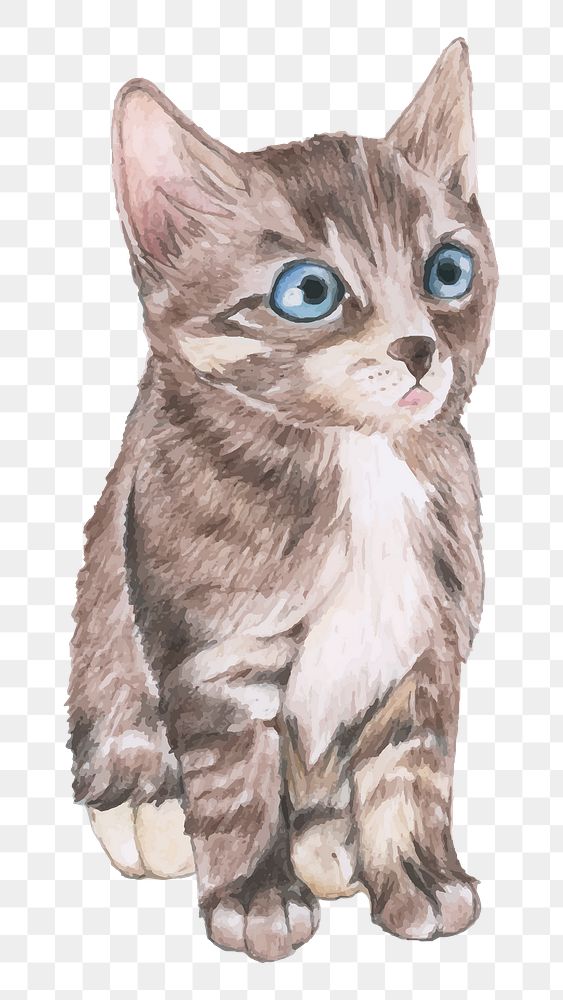 Hand drawn domestic cat png