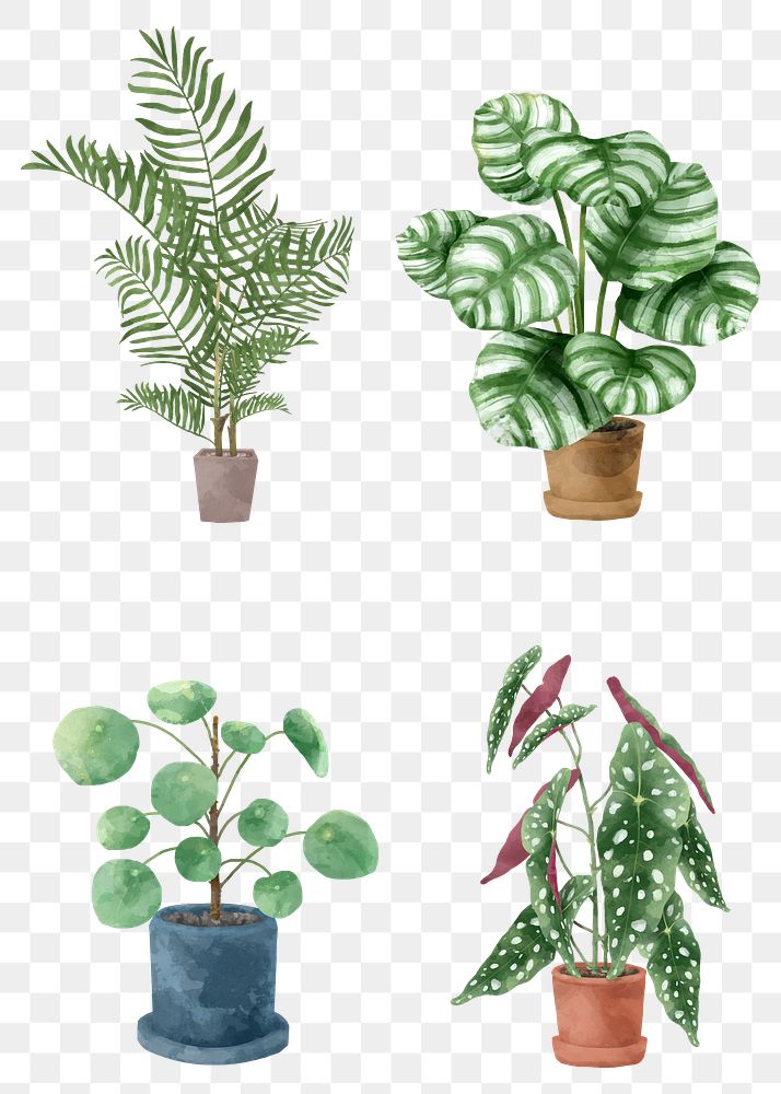 Tropical png watercolor plant botanical set