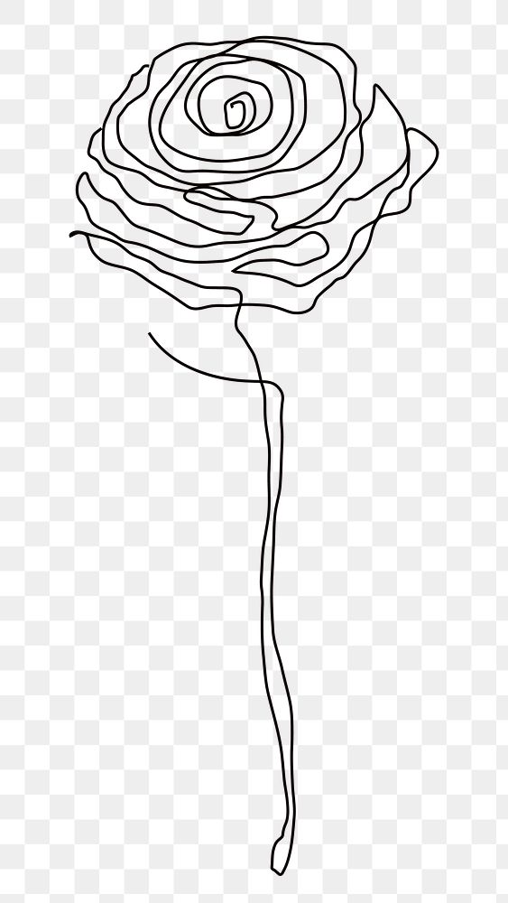 Png rose flower line drawing