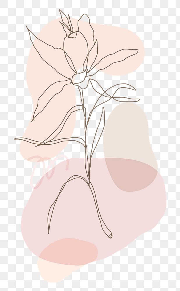 Png flower single line in pink