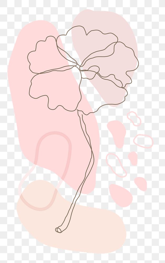 Png flower single line in pink
