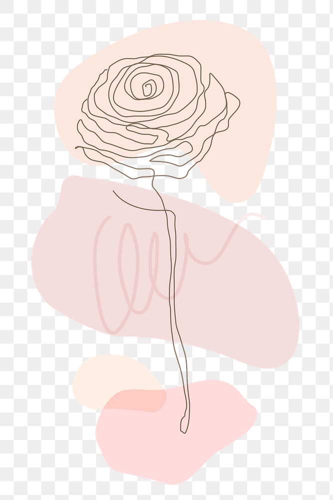 Png rose flower line drawing