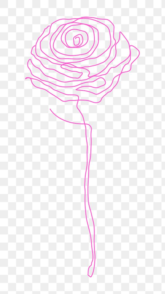 Png rose flower line drawing