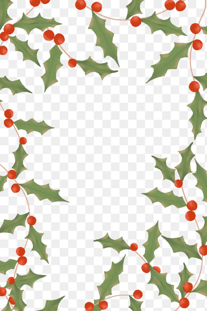 Holly frame png, Christmas holiday