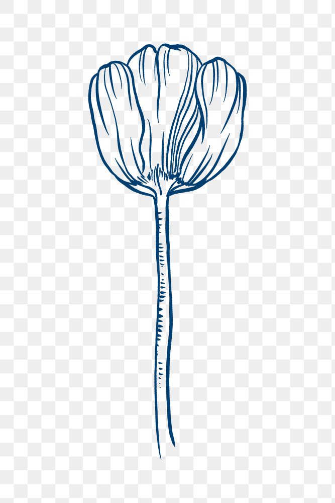Vintage tulip flower png tattoo art, blue botanical sticker