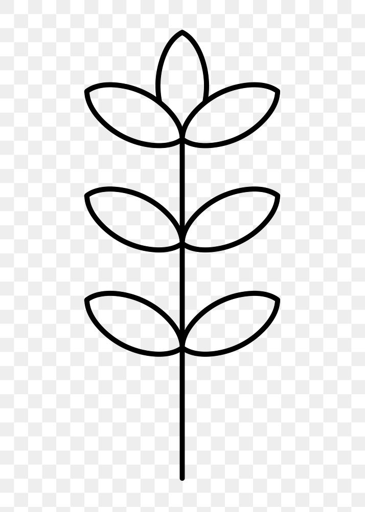 Leaf element png, botanical doodle graphic design