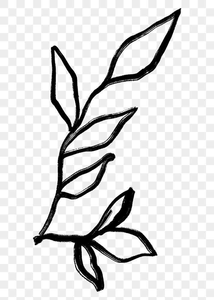 Botanical png collage element, black leaf drawing, simple illustration transparent background