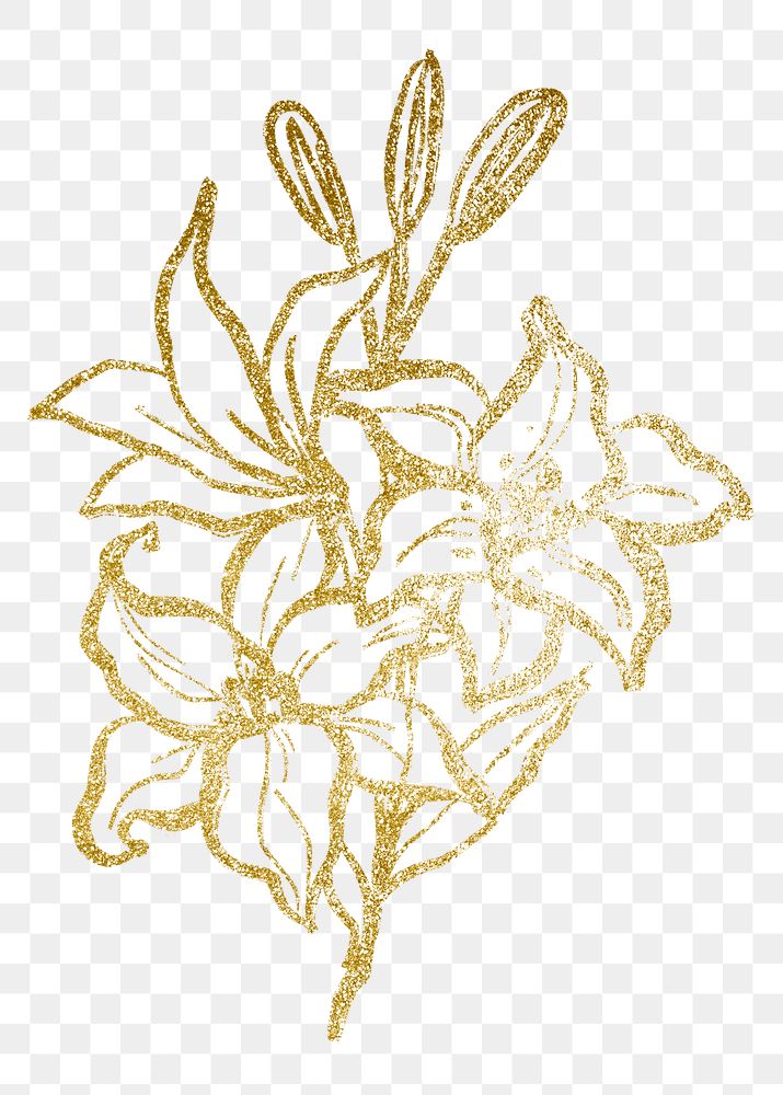 Gold lilies png sticker, line art graphic design on transparent background