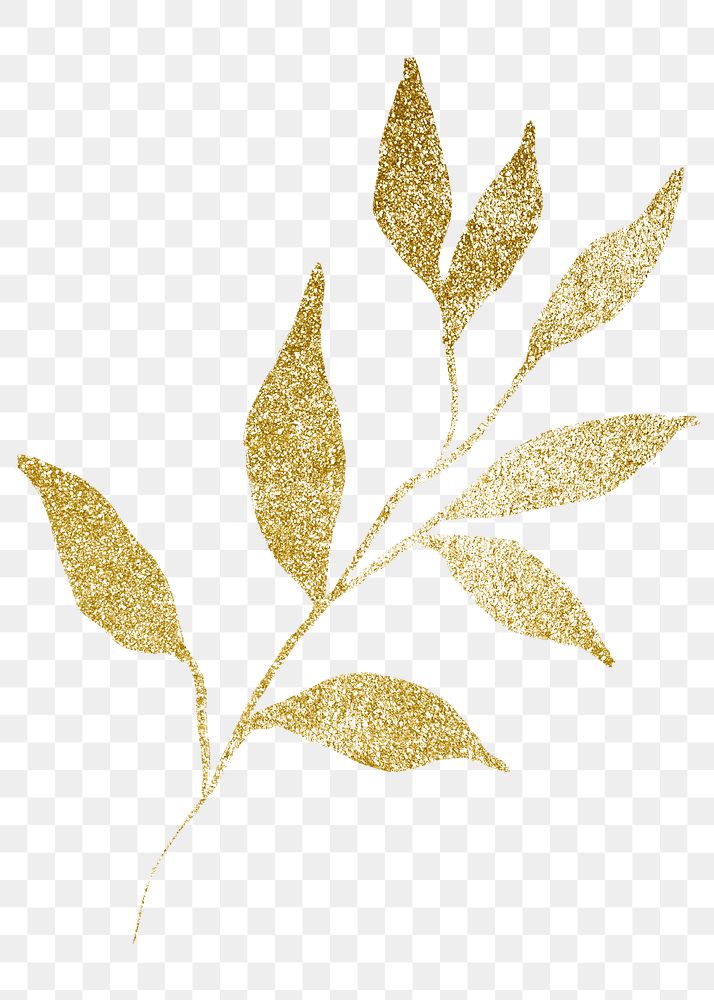 Botanical png collage element, gold leaf drawing, simple illustration transparent background