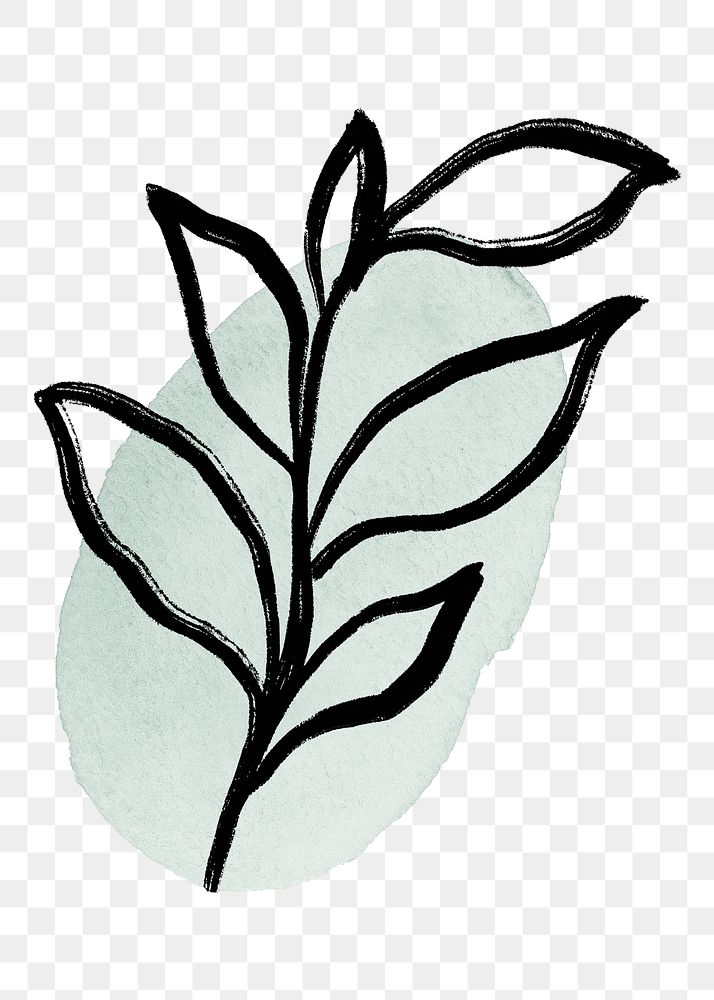 Aesthetic leaf png, black line drawing on watercolor brushstroke graphic design, transparent background