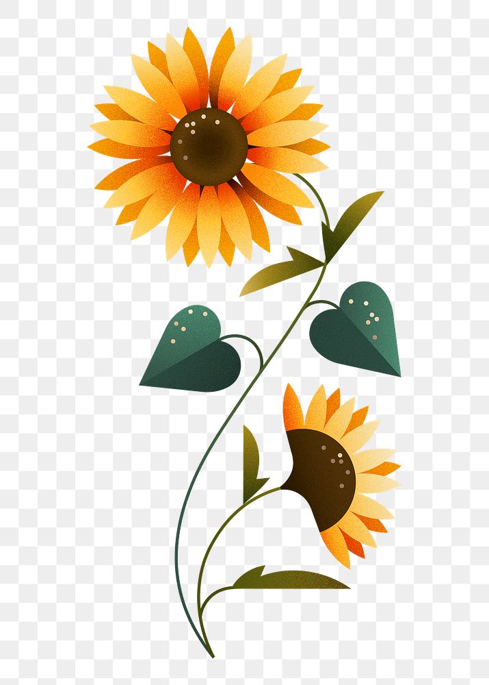 Flat yellow png flower design sticker, transparent background, aesthetic design