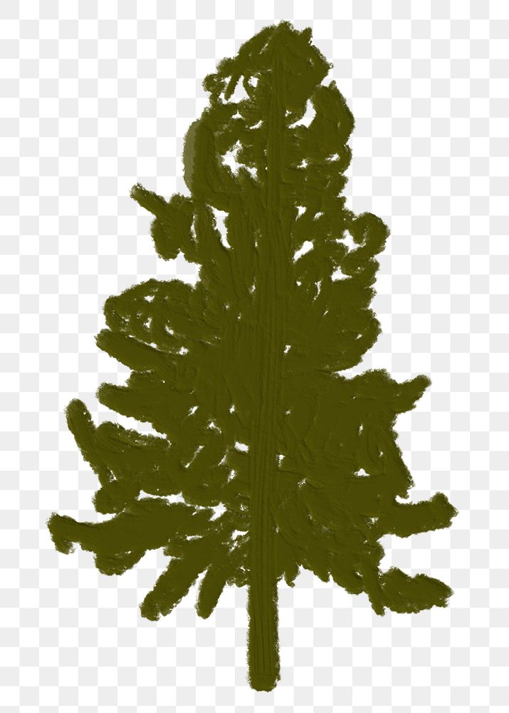 Acrylic painting png pine tree sticker, simple paint brush design, transparent background
