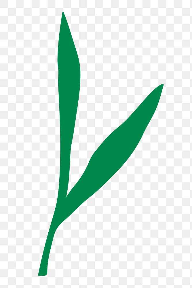 Green leaf png sticker, cute botanical, transparent background