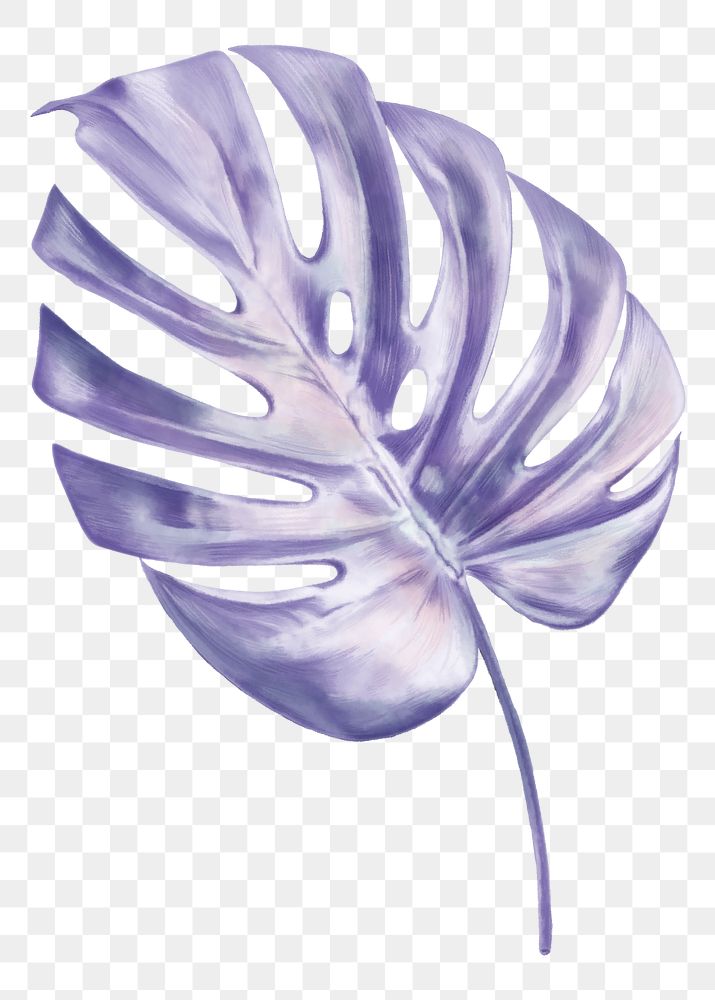 Monstera leaf png sticker, purple aesthetic design, transparent background